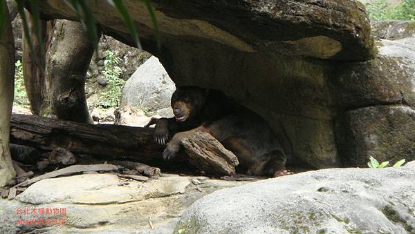 台北木柵動物園30.JPG