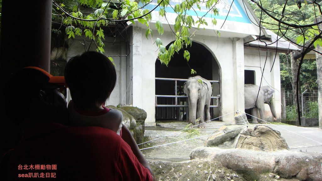 台北木柵動物園32.JPG