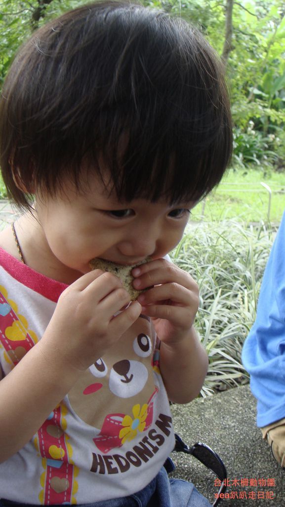 台北木柵動物園36.JPG