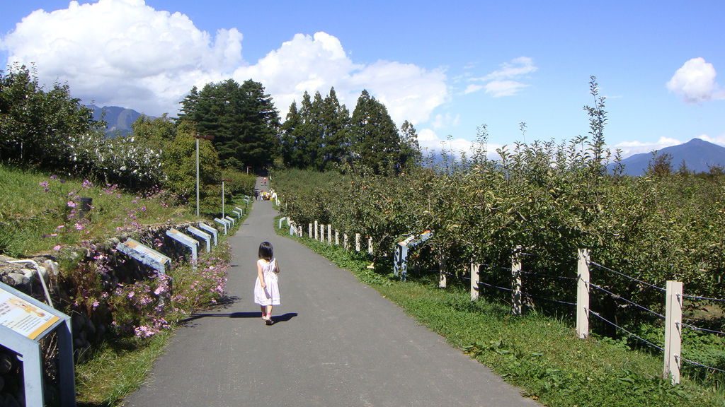 2015.10.5福壽山農場12.JPG