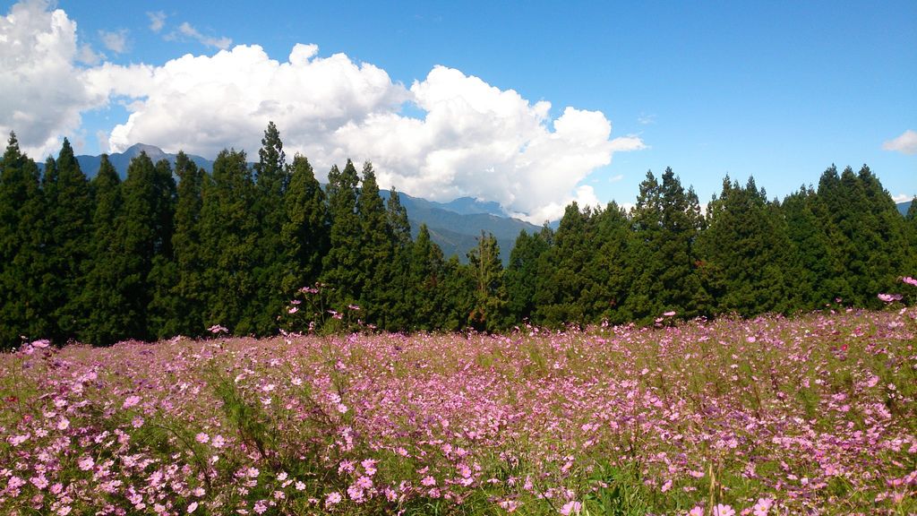 2015.10.5福壽山農場29.JPG