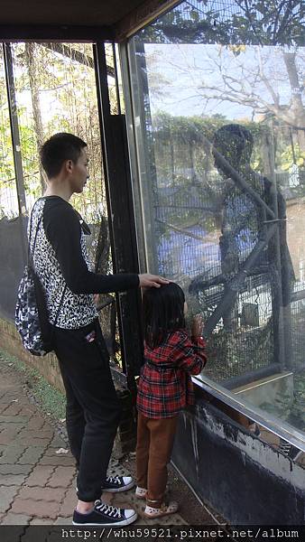 5過年初五新竹市立動物園13.JPG