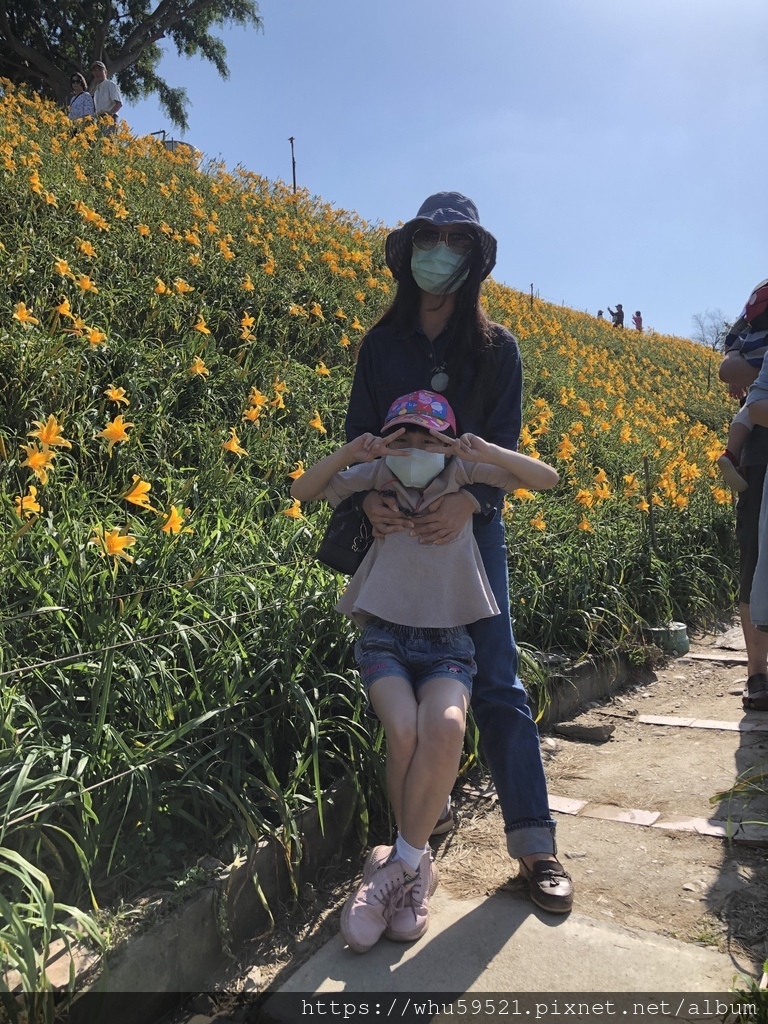 2020.4.29花壇金針花,芬園挑水古道桐花,青宏滴雞精3.JPG