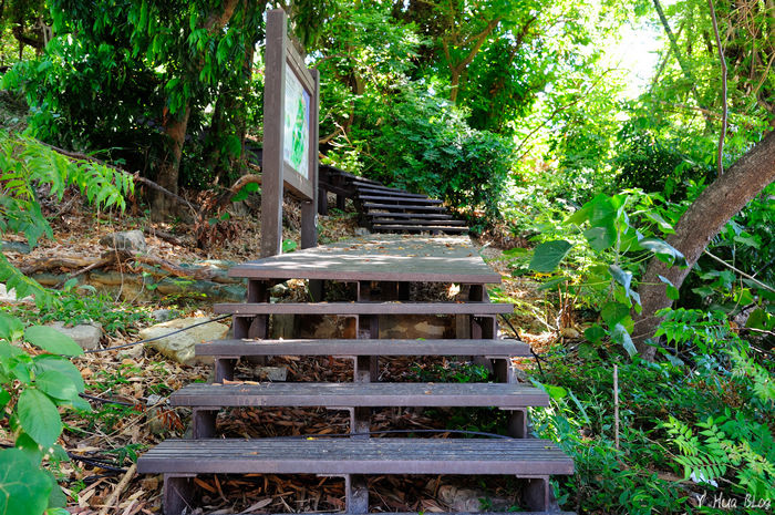 [問題] 關於左營龜山一問