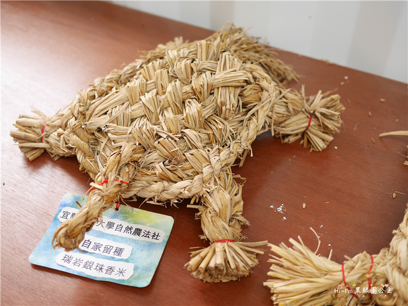 【宜蘭景點】2016宜蘭綠色博覽會。一份堅持綠色價值的「糧心」❤ 黑眼圈公主 ❤