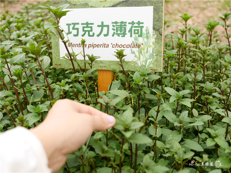 【宜蘭景點】2016宜蘭綠色博覽會。一份堅持綠色價值的「糧心」❤ 黑眼圈公主 ❤
