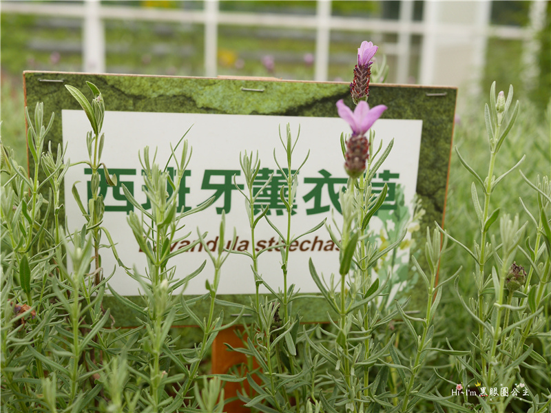 【宜蘭景點】2016宜蘭綠色博覽會。一份堅持綠色價值的「糧心」❤ 黑眼圈公主 ❤