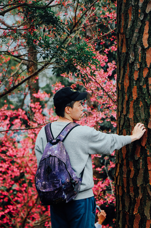 2018-01-27_2018-01-27_Canon EOS 77D_kadoorie-farm_20180127-053_blog_2018-year-review.jpg