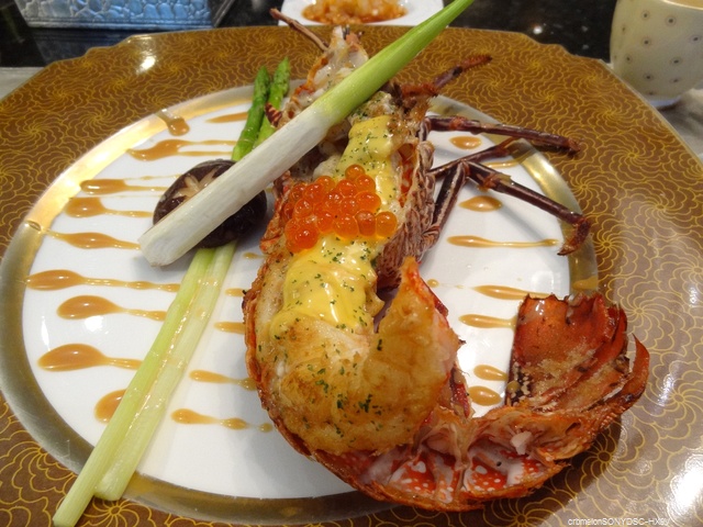 DSC00495 DSC00495