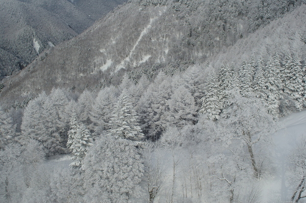 壯闊山景5 （下山時拍攝）