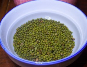 自己種豆芽,5天就可以收穫! 自己種豆芽,5天就可以收穫!