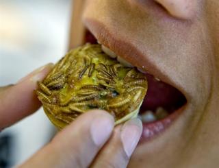 蟲蟲大麥克 蟲蟲大麥克