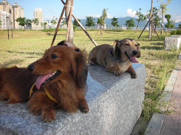 新店河岸陽光公園