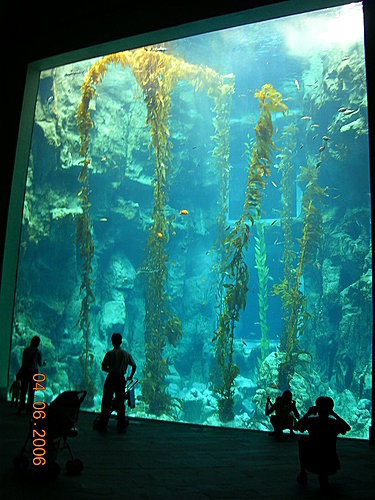 水族館前