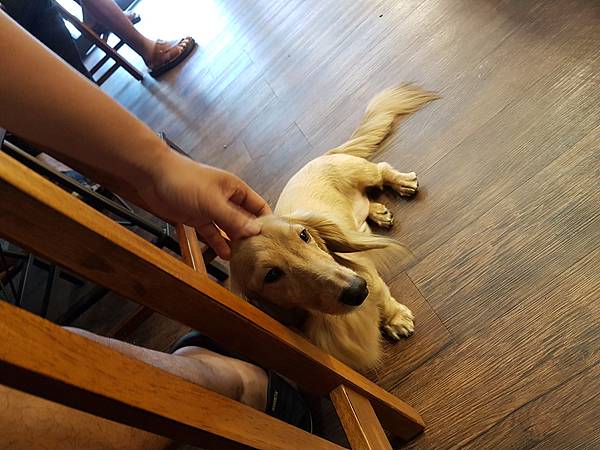 20171010_A咖啡6.jpg 20171010_A咖啡6.jpg