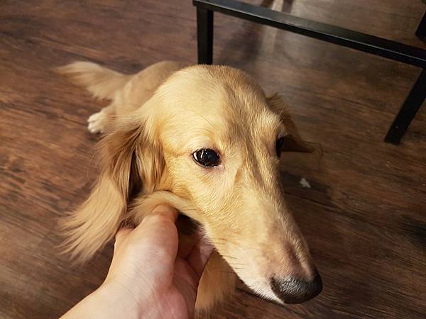 20171010_A咖啡7.jpg 20171010_A咖啡7.jpg