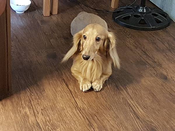 20171010_A咖啡11.jpg 20171010_A咖啡11.jpg