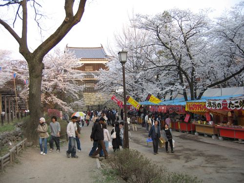 4-16上田城跡公園04.JPG