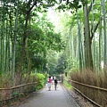 11嵯峨嵐山著名的竹林步道.JPG