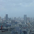 39東京都廳南廳觀景台~六本木HILLS&amp;MIDTOWN&amp;東京鐵塔
