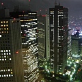 67東京都廳北廳觀景台