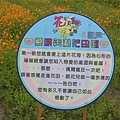 2008開春賞花