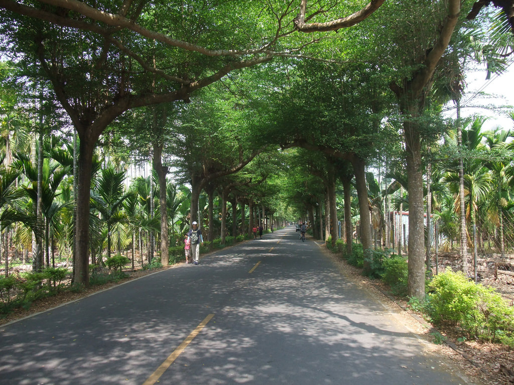 潮州泗林林蔭大道