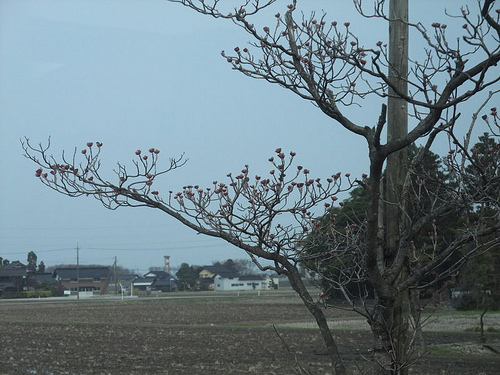 日本風景5