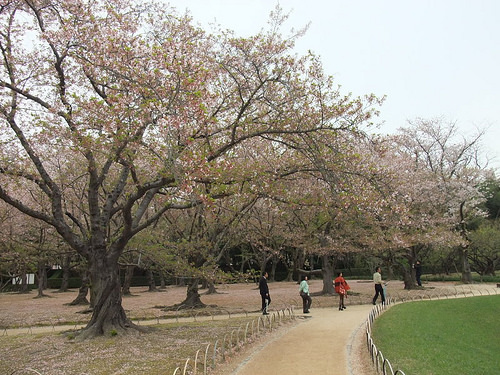 後樂園6