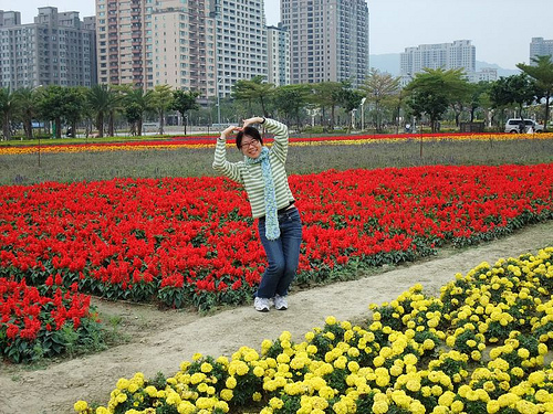 凹子底公園