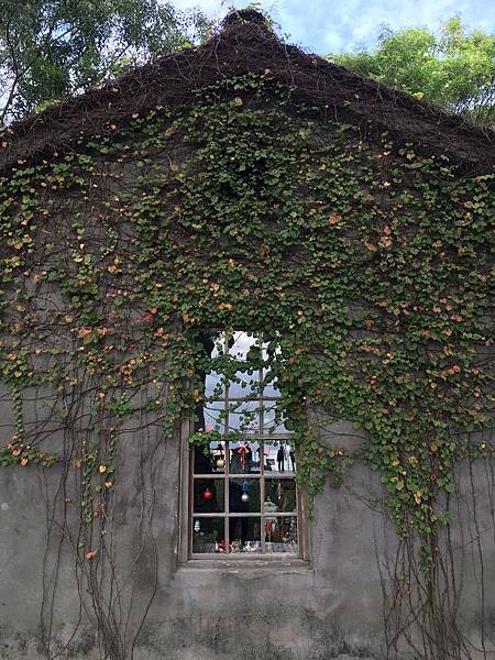 IMG_5375.JPG IMG_5375.JPG