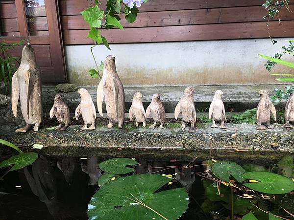 IMG_5363.JPG IMG_5363.JPG