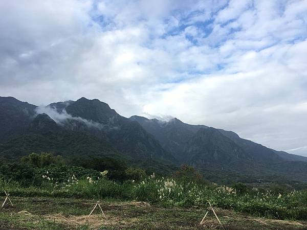 IMG_5579.JPG IMG_5579.JPG