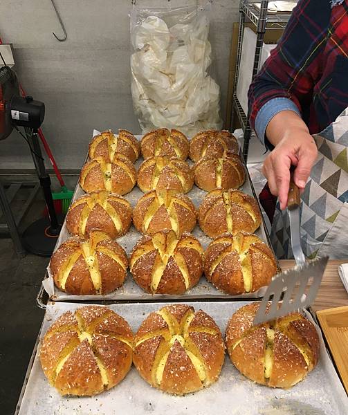 IMG_7858.JPG IMG_7858.JPG