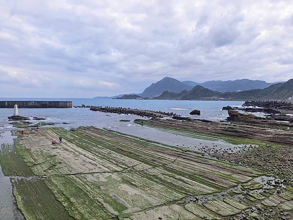 IMG_20230227_122156.jpg IMG_20230227_122156.jpg