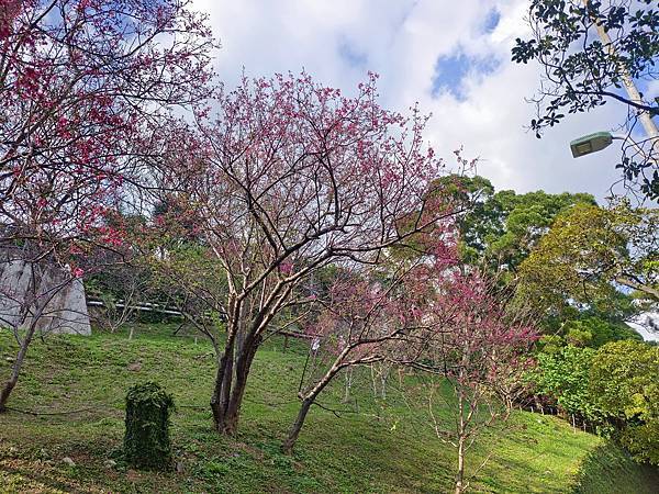 IMG_20230228_153130.jpg IMG_20230228_153130.jpg