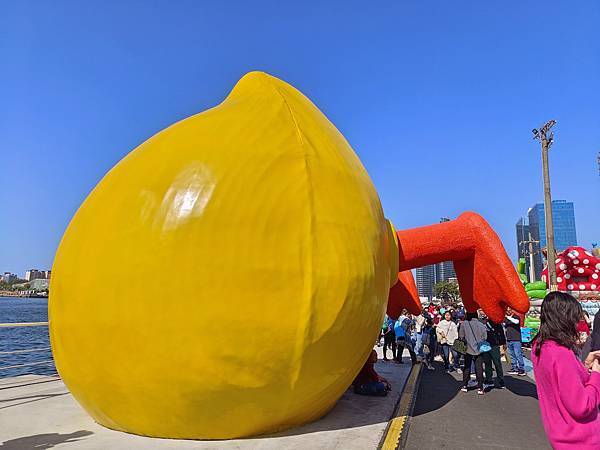 情人節追鴨趣黃色小鴨遊港灣 情人節追鴨趣黃色小鴨遊港灣