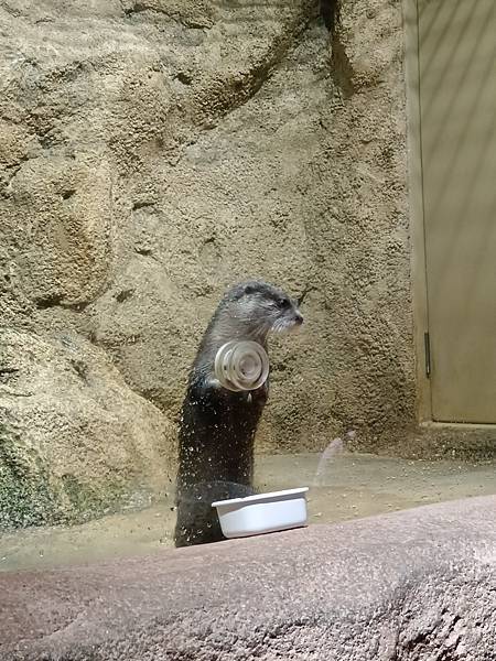 2024家族旅遊-沖繩快閃4日 2024家族旅遊-沖繩快閃4日