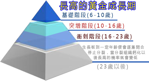 把握黃金期，讓我長高22公分