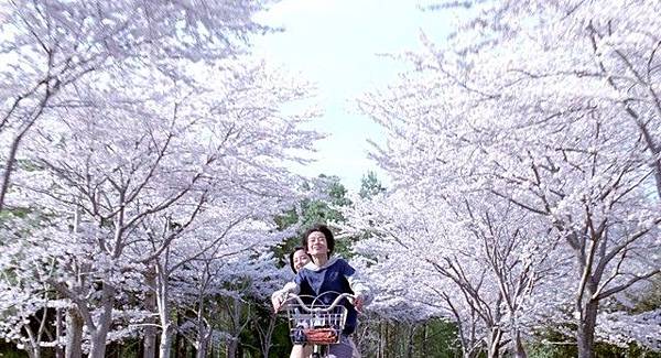 umimachi-diary-sakura.jpg umimachi-diary-sakura.jpg