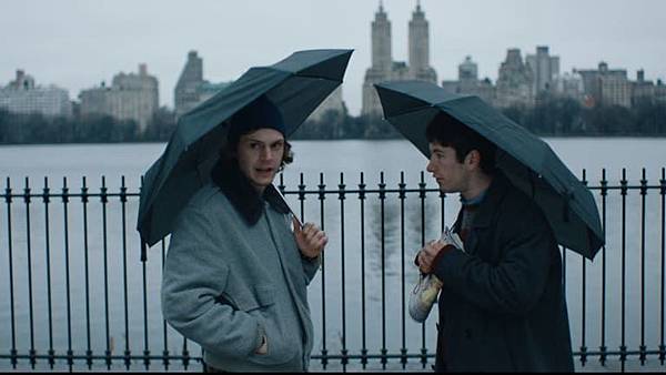 american animals.jpg american animals.jpg