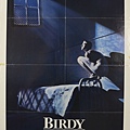 birdy poster.jpg