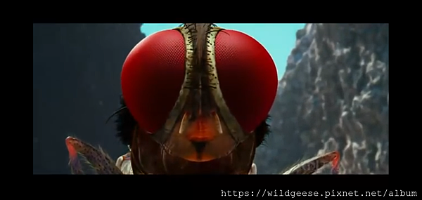 Screenshot_2020-04-26-21-40-52-02.png Screenshot_2020-04-26-21-40-52-02.png