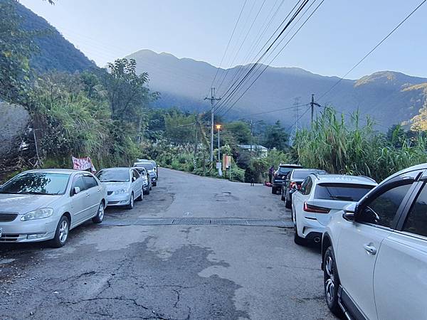 馬崙山*谷關七雄老二~五葉松、樹根路、馬崙名樹