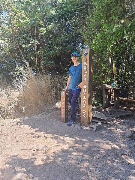 馬崙山*谷關七雄老二~五葉松、樹根路、馬崙名樹