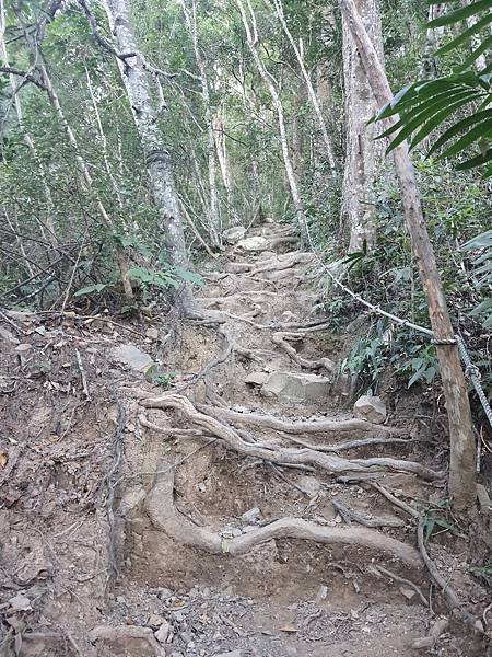 唐麻丹山~谷關七雄老么~陡坡、瀑布、蝴蝶谷