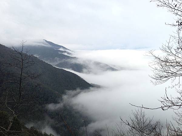 太平山_雲海