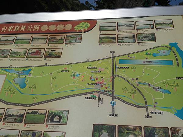 台東森林公園2_地圖