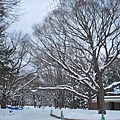 北海道神社01.JPG