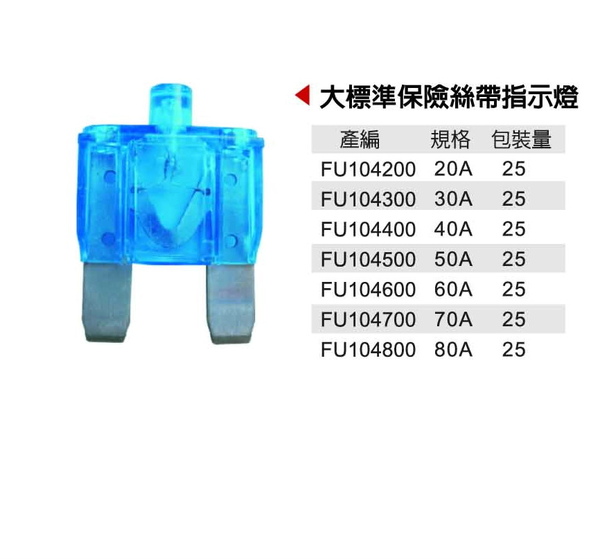 大標準保險絲帶指示燈.jpg